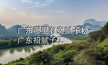 廣東哪里有賣膩子粉-廣東招膩子工