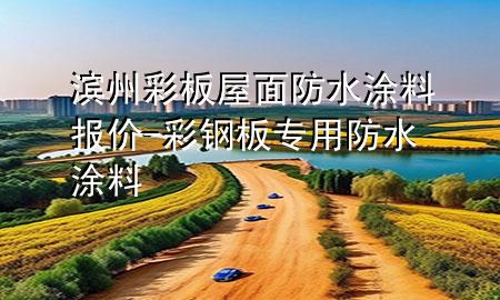 濱州彩板屋面防水涂料報價-彩鋼板專用防水涂料