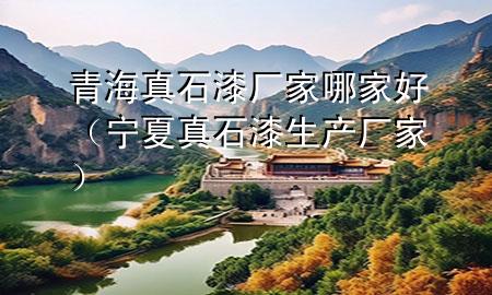 青海真石漆廠家哪家好（寧夏真石漆生產(chǎn)廠家）