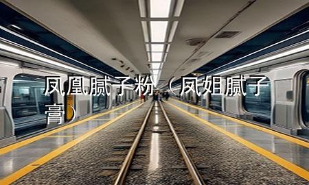 鳳凰膩子粉（鳳姐膩子膏）