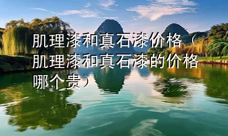 肌理漆和真石漆價(jià)格（肌理漆和真石漆的價(jià)格哪個(gè)貴）