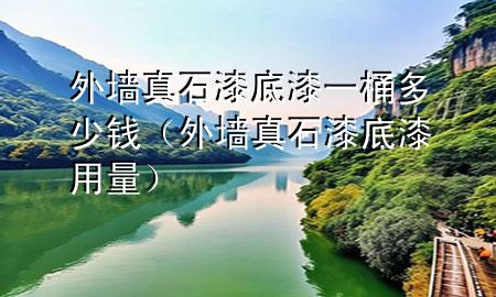 外墻真石漆底漆一桶多少錢（外墻真石漆底漆用量）