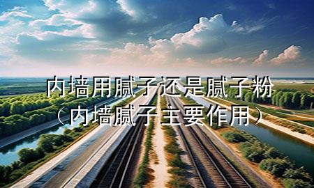 內(nèi)墻用膩子還是膩子粉（內(nèi)墻膩子主要作用）