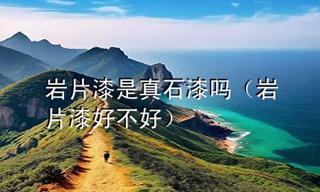 巖片漆是真石漆嗎（巖片漆好不好）