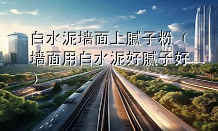 白水泥墻面上膩子粉（墻面用白水泥好膩子好）