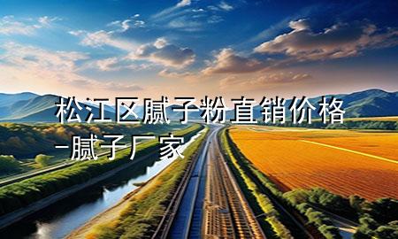 松江區(qū)膩子粉直銷價格-膩子廠家