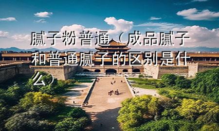 膩?zhàn)臃?普通（成品膩?zhàn)雍推胀佔(zhàn)拥膮^(qū)別是什么）