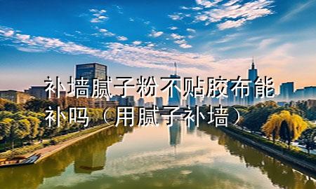 補墻膩子粉不貼膠布能補嗎（用膩子補墻）