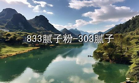 833膩子粉-303膩子