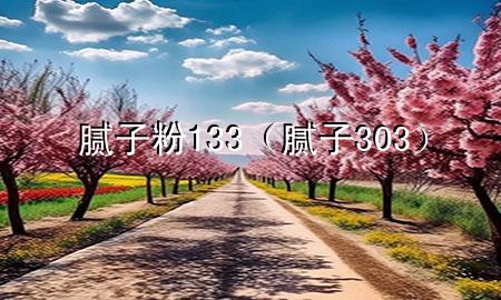 膩子粉133（膩子 303）