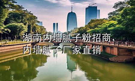 湖南內(nèi)墻膩?zhàn)臃壅猩?，?nèi)墻膩?zhàn)訌S家直銷(xiāo)