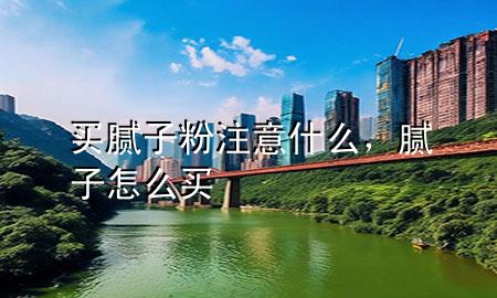 買膩子粉注意什么，膩子怎么買