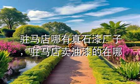 駐馬店哪有真石漆廠子，駐馬店賣(mài)油漆的在哪