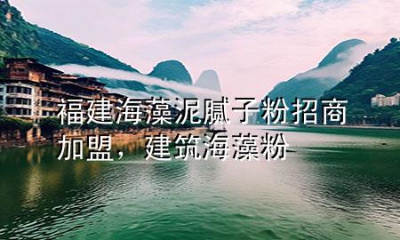 福建海藻泥膩子粉招商加盟，建筑海藻粉