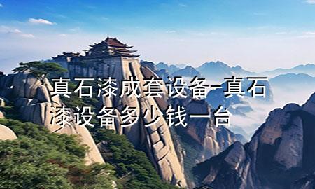 真石漆成套設(shè)備-真石漆設(shè)備多少錢一臺