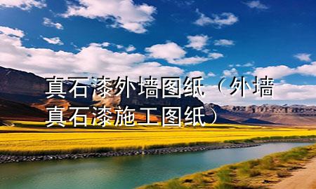 真石漆外墻圖紙（外墻真石漆施工圖紙）