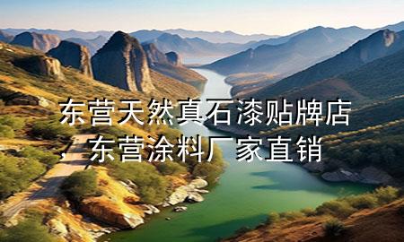 東營天然真石漆貼牌店，東營涂料廠家直銷