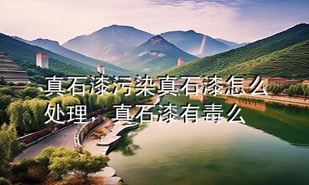 真石漆污染真石漆怎么處理，真石漆有毒么