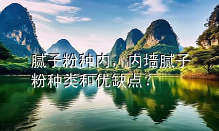 膩子粉種內，內墻膩子粉種類和優(yōu)缺點？