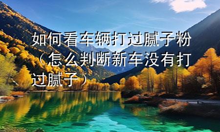 如何看車輛打過膩子粉（怎么判斷新車沒有打過膩子）