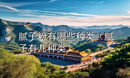 膩子粉有哪些種類（膩子有幾種類）