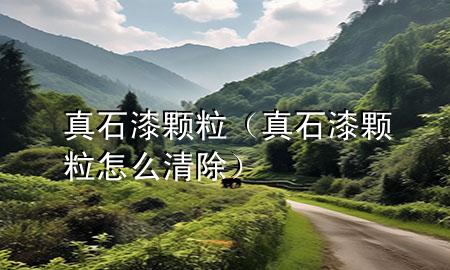 真石漆顆粒（真石漆顆粒怎么清除）