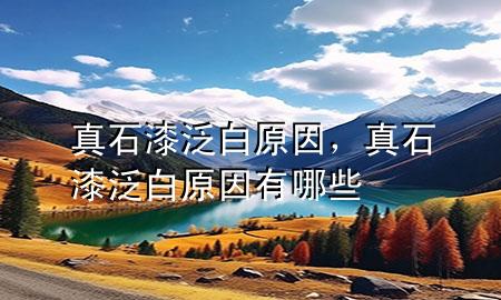 真石漆泛白原因，真石漆泛白原因有哪些