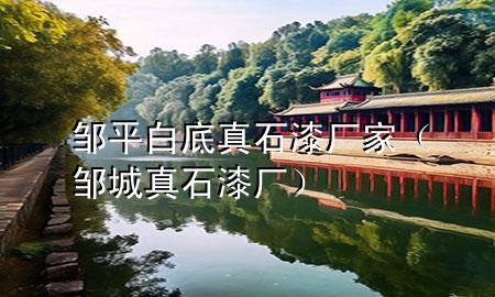 鄒平白底真石漆廠家（鄒城真石漆廠）