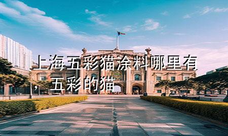 上海五彩貓涂料哪里有，五彩的貓