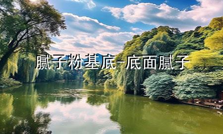 膩子粉基底-底面膩子