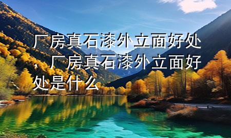 廠房真石漆外立面好處，廠房真石漆外立面好處是什么