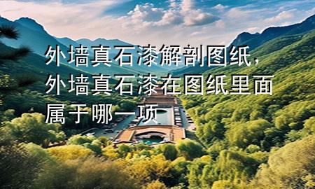 外墻真石漆解剖圖紙，外墻真石漆在圖紙里面屬于哪一項(xiàng)