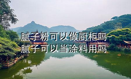 膩?zhàn)臃劭梢宰鰪N柜嗎-膩?zhàn)涌梢援?dāng)涂料用嗎