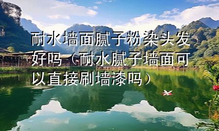 耐水墻面膩子粉染頭發(fā)好嗎（耐水膩子墻面可以直接刷墻漆嗎）