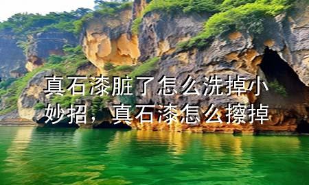 真石漆臟了怎么洗掉小妙招，真石漆怎么擦掉