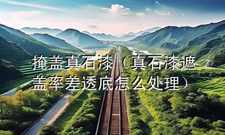 掩蓋真石漆（真石漆遮蓋率差透底怎么處理）