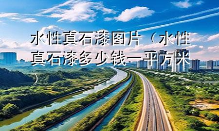 水性真石漆圖片（水性真石漆多少錢一平方米）