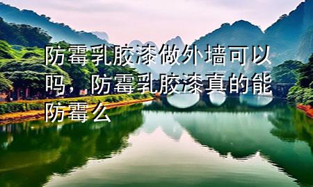 防霉乳膠漆做外墻可以嗎，防霉乳膠漆真的能防霉么
