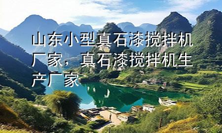 山東小型真石漆攪拌機(jī)廠家，真石漆攪拌機(jī)生產(chǎn)廠家