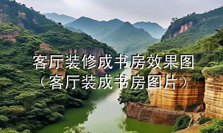 客廳裝修成書房效果圖（客廳裝成書房圖片）