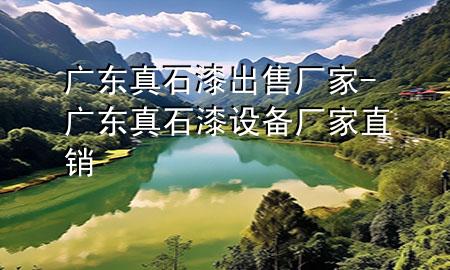 廣東真石漆出售廠家-廣東真石漆設備廠家直銷
