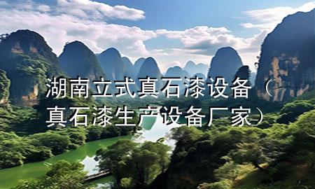湖南立式真石漆設(shè)備（真石漆生產(chǎn)設(shè)備廠家）