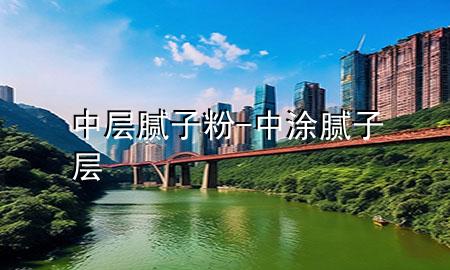 中層膩子粉-中涂膩子層