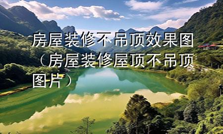 房屋裝修不吊頂效果圖（房屋裝修屋頂不吊頂圖片）