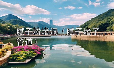 膩子粉堵洞（膩子堵了管道）