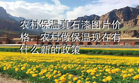 農(nóng)村保溫真石漆圖片價格，農(nóng)村做保溫現(xiàn)在有什么新的政策