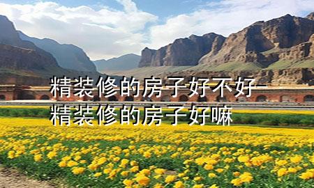 精裝修的房子好不好-精裝修的房子好嘛