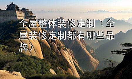 全屋整體裝修定制（全屋裝修定制都有哪些品牌）