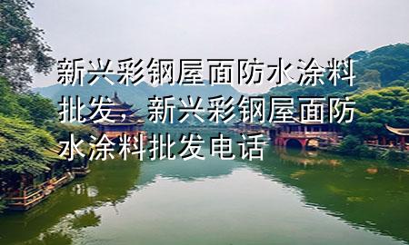 新興彩鋼屋面防水涂料批發(fā)，新興彩鋼屋面防水涂料批發(fā)電話(huà)