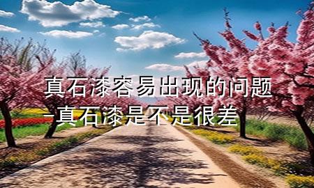 真石漆容易出現(xiàn)的問題-真石漆是不是很差